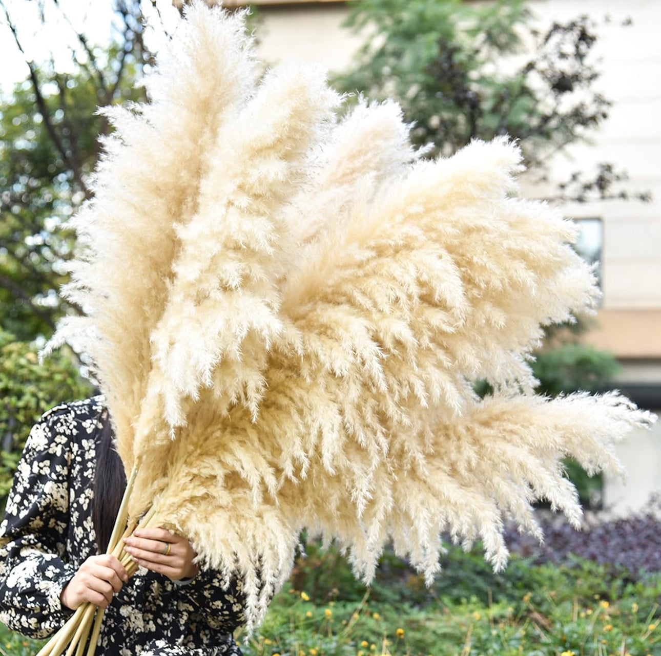 Fluffy Large Pampas Grass Decor