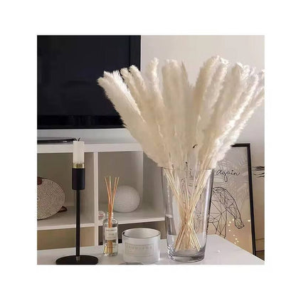 10pc Natural Dried Flowers Pampas