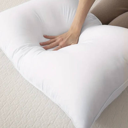 2pcs 1000gsm Compressed pillow