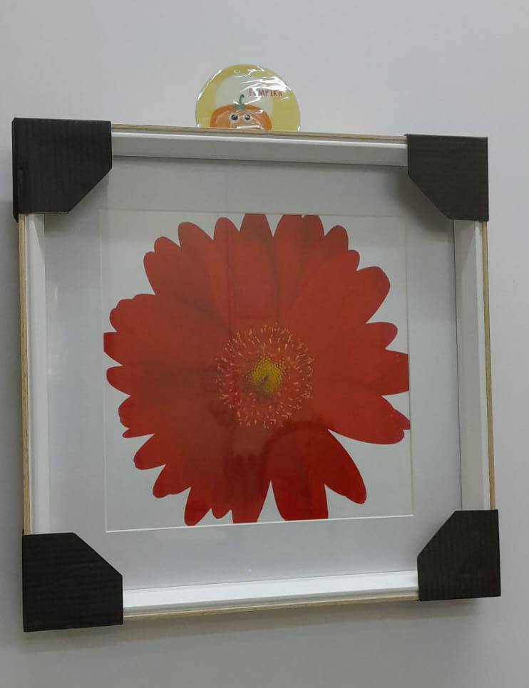 Wall hanging deco frame