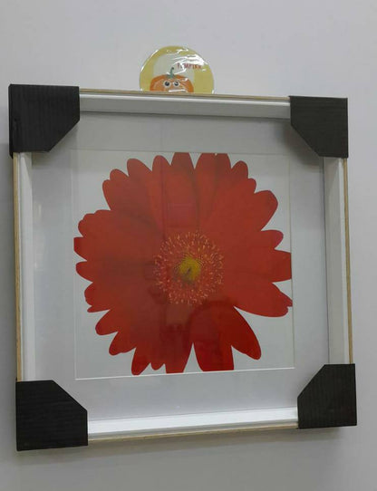 Wall hanging deco frame