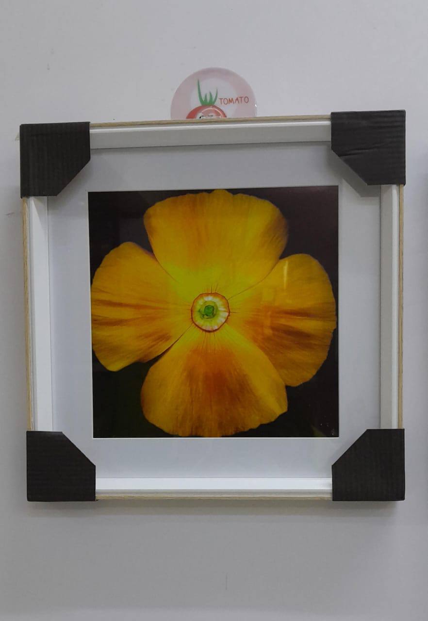 Wall hanging deco frame