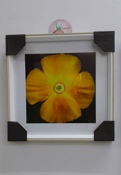 Wall hanging deco frame