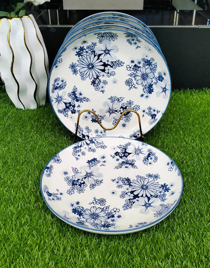 A set of 6pcs Turqoise blue dinner plates