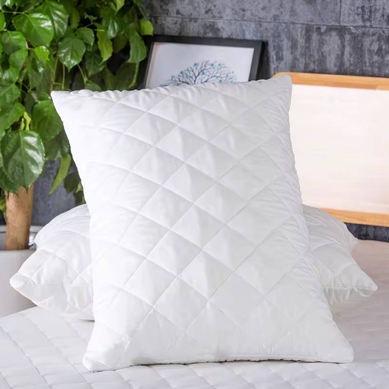 2pc Pillow protectors