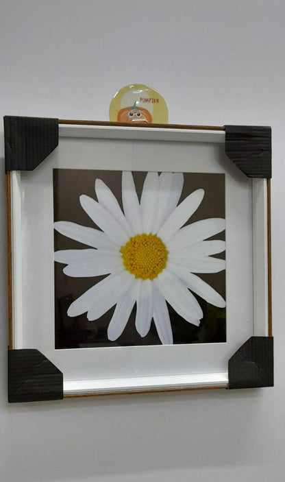 Wall hanging deco frame