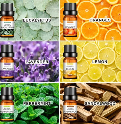 6pc set 100% Pure Natural Aromatherapy Essential Oils
