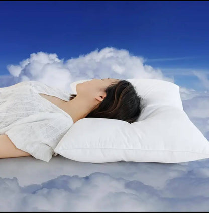 2pcs 1000gsm Compressed pillow