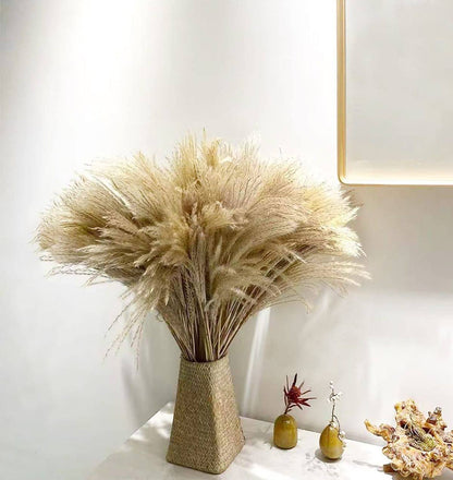 10pcs Natural Dried Reed Decorative Mini Pampas Grass