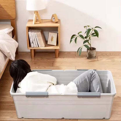 Under-bed storage Boxes