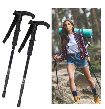 Anti Shock Trekking Pole 
.