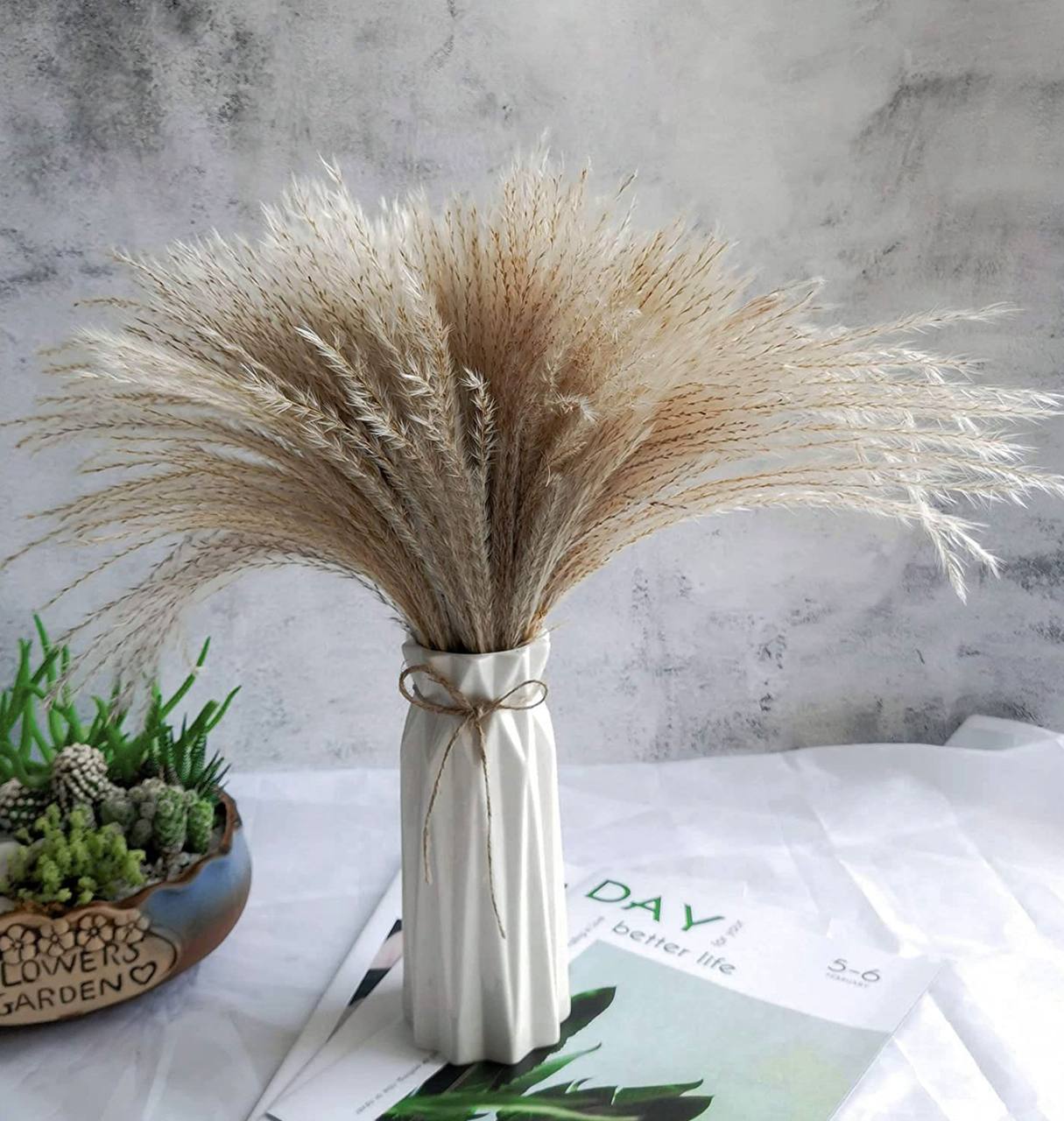 10pcs Natural Dried Reed Decorative Mini Pampas Grass