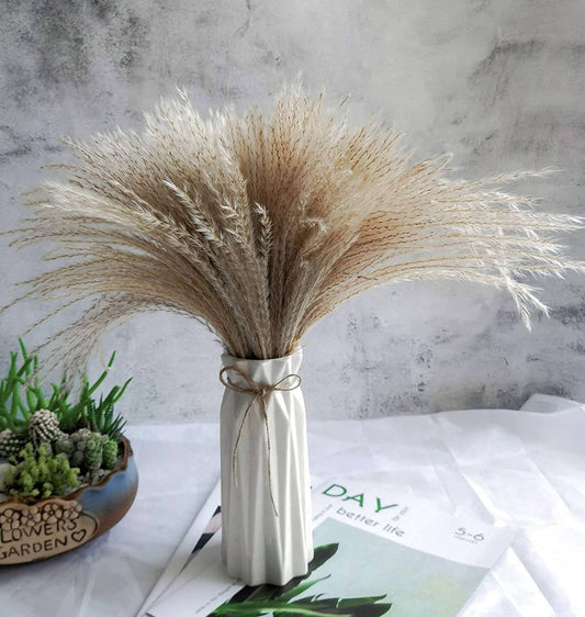 10pcs Natural Dried Reed Decorative Mini Pampas Grass