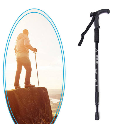 Anti Shock Trekking Pole 
.
